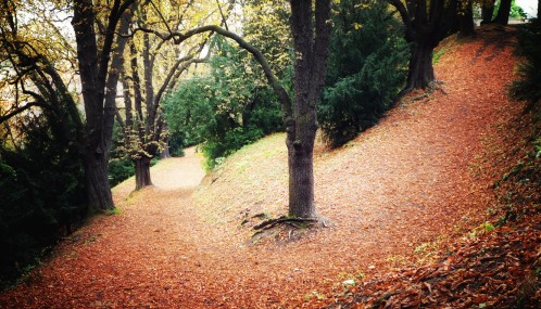 Photo couleur de l'automne à Prague, République Tchèque