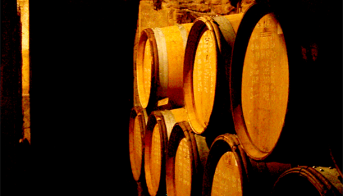 Photo couleur de tonneaux de vin dans une cave à Vergisson, Bourgogne