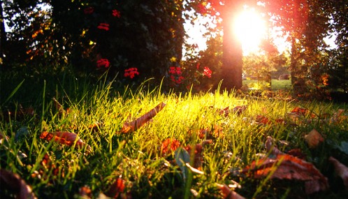 Photo couleur d'un soir d'été en Haute Saône