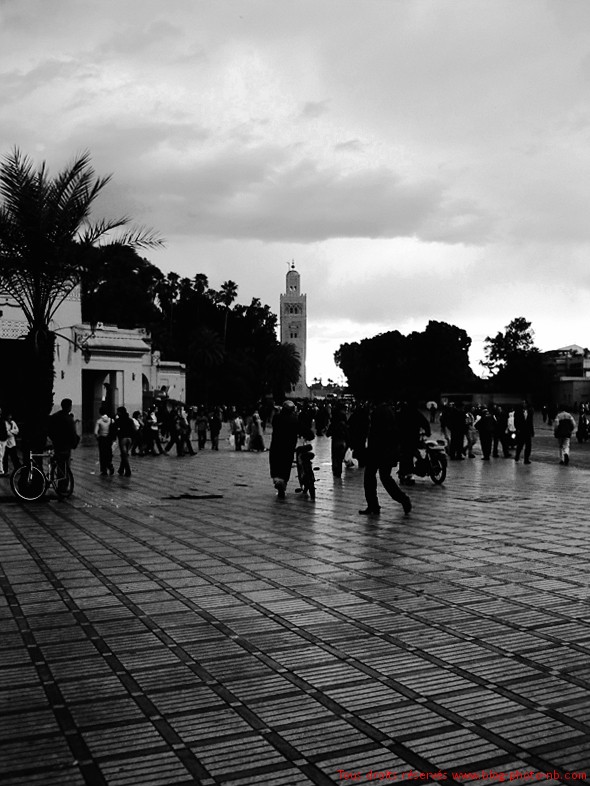 photo_marrakech.jpg